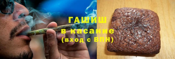 прущие грибы Ладушкин