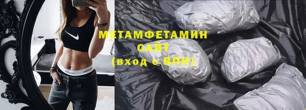 прущие грибы Ладушкин