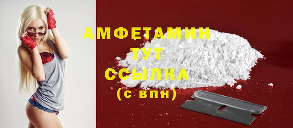 прущие грибы Ладушкин