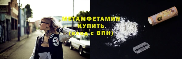 прущие грибы Ладушкин