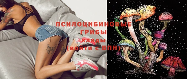 таблы Лабытнанги