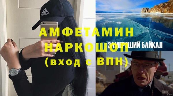 прущие грибы Ладушкин