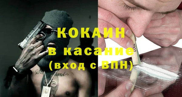 прущие грибы Ладушкин