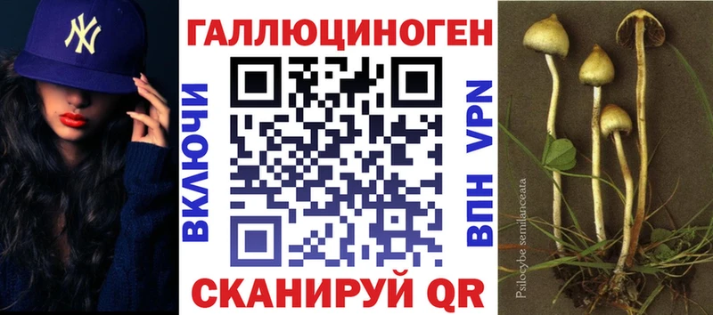 Купить закладки  Анива  Псилоцибиновые грибы Cubensis 