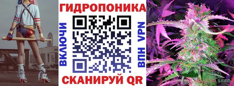 Бошки Шишки VHQ  Купить где  Анива 